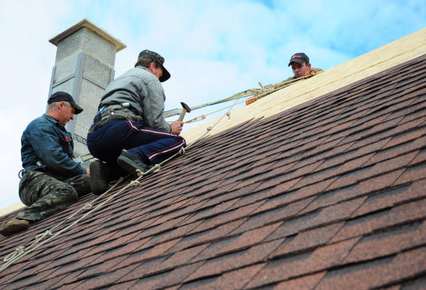 Best Roof Leak Repair  in Lexington, OK